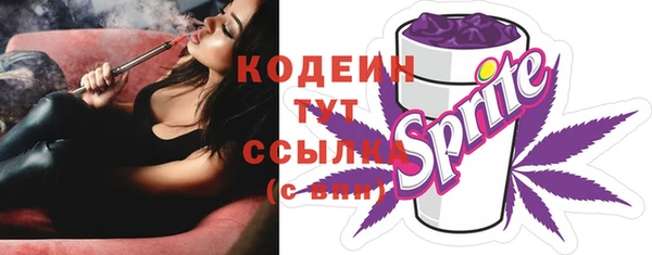 ешки Белокуриха