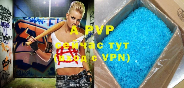 ешки Белокуриха