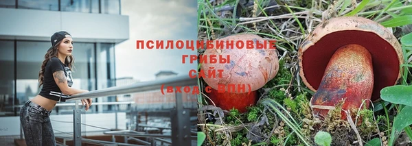 ешки Белокуриха