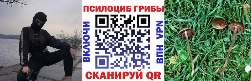 Купить закладки  Армянск  Галлюциногенные грибы Psilocybine cubensis 